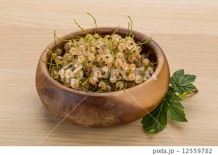 White currant White currant 12559782
