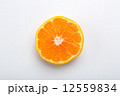 みかん（輪切り） 12559834