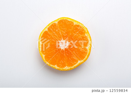 みかん（輪切り） 12559834