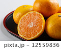 みかん（白背景アップ） 12559836