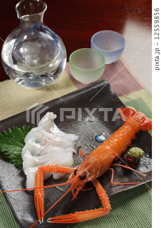 高級食材 アカザ海老 12559856