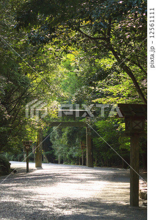 伊勢神宮の参道 12561111