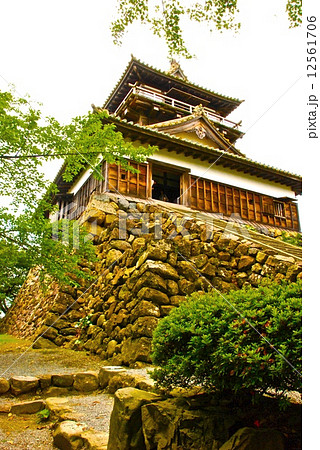 丸岡城の天守（福井県坂井市丸岡町霞町1-59） 12561706