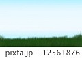 Green_001 12561876