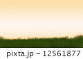 Green_002 12561877
