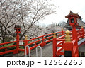 御嶽山大和本宮と桜 12562263