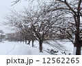 奈良市郊外の雪景色 12562265