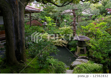 武家屋敷跡野村家(金沢市) 武家屋敷跡野村家(金沢市) 12562832