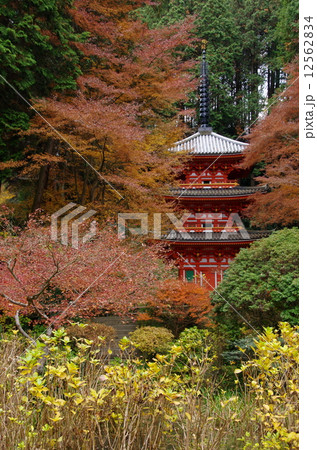 岩船寺 岩船寺 12562834