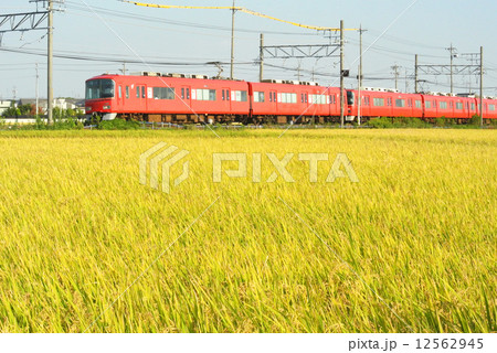 稲穂の中を走る赤い電車 稲穂の中を走る赤い電車 12562945