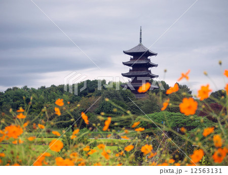 備中国分寺五重塔 備中国分寺五重塔 12563131