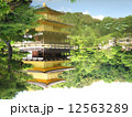 逆さ金閣 12563289