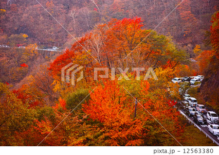 渋滞のいろは坂 12563380