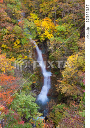 秋山郷・蛇淵の滝 秋山郷・蛇淵の滝 12563387