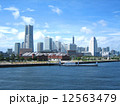 みなとみらいのビル群 12563479