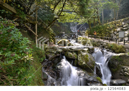 滝の下流 12564083