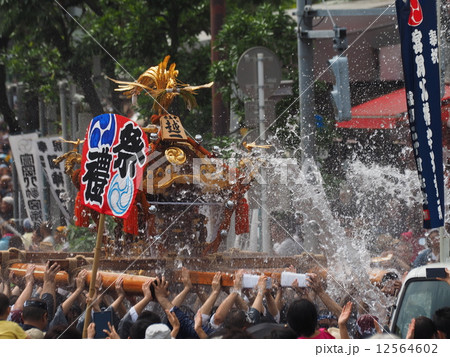 深川八幡祭り　御神輿 12564602