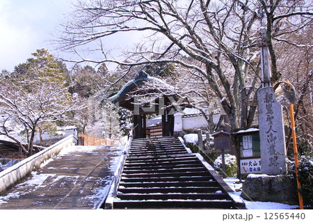 北山別院の雪景色 12565440