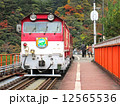 秋の奥大井湖上駅 12565536