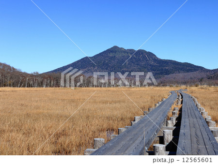 燧ヶ岳 燧ヶ岳 12565601