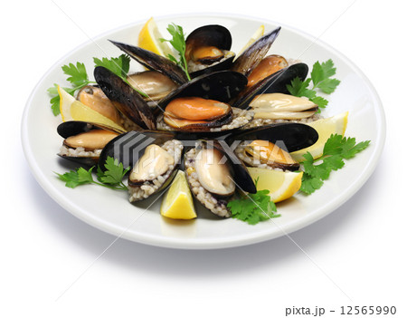 ミディエドルマス 12565990