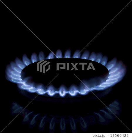 Gas burner Gas burner 12566422