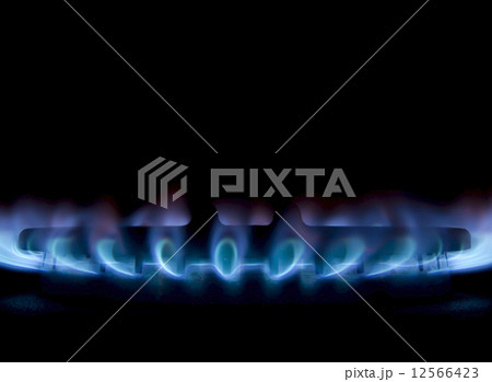 Gas burner Gas burner 12566423