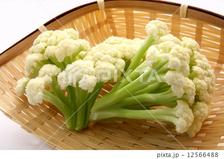 カリフローレ　茎カリフラワー　食材　白背景 12566488