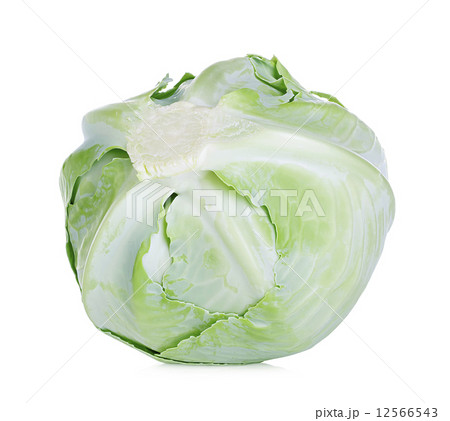 White cabbage isolated on white background 12566543