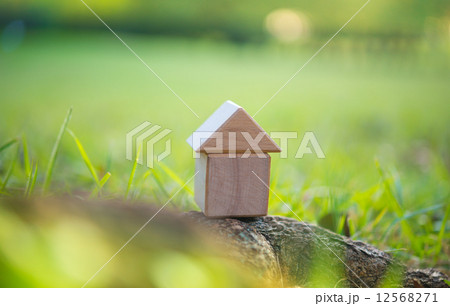 積み木の家 12568271