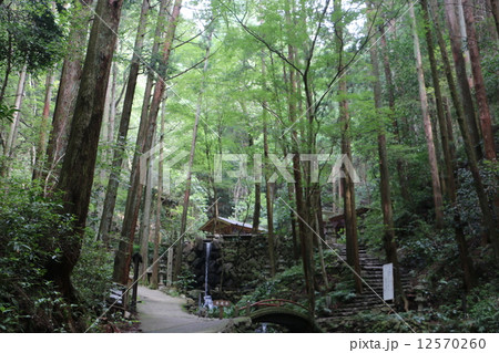 伊勢　天の岩戸２ 12570260