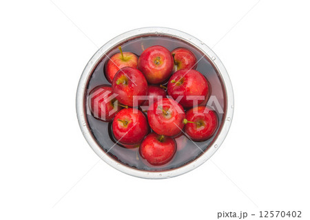 姫リンゴ 姫リンゴ 12570402