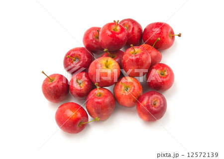 姫リンゴ 12572139