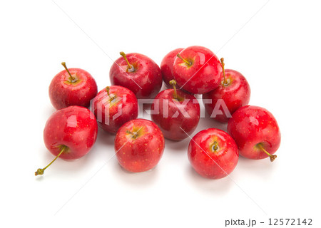 姫リンゴ 12572142