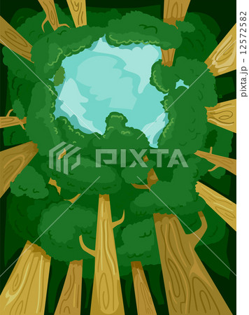 Tree Canopy 12572582