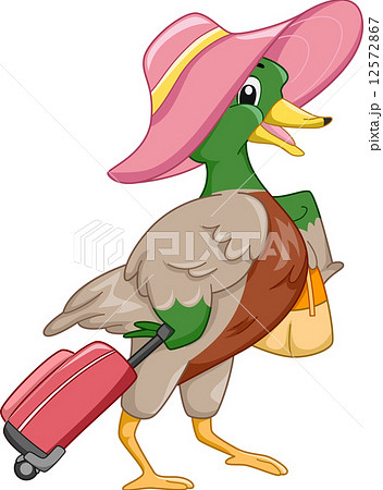 Migrating Bird Migrating Bird 12572867