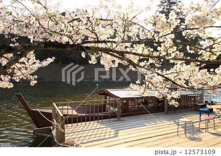 4月滋賀 彦根城お堀めぐり・屋形船と桜 4月滋賀 彦根城お堀めぐり・屋形船と桜 12573109