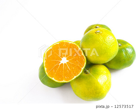 温州みかん 温州みかん 12573517