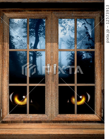 Look from darkness 12573913