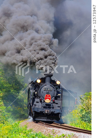 SLニセコ 12573947