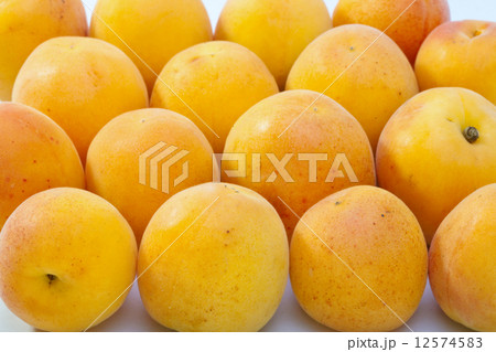 Ripe apricots Ripe apricots 12574583