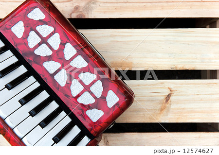 Accordion Accordion 12574627