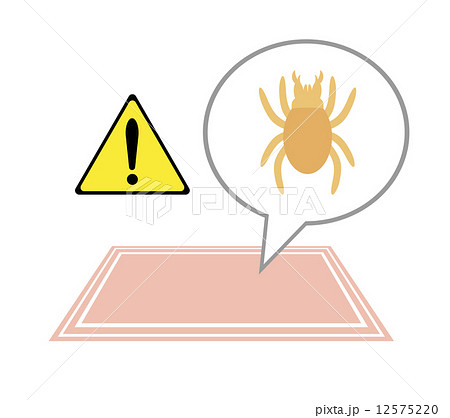 カーペットに潜むダニ カーペットに潜むダニ 12575220