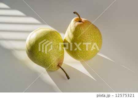 千両なし 12575321