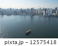 東京湾からの東京タワーの空撮 12575418