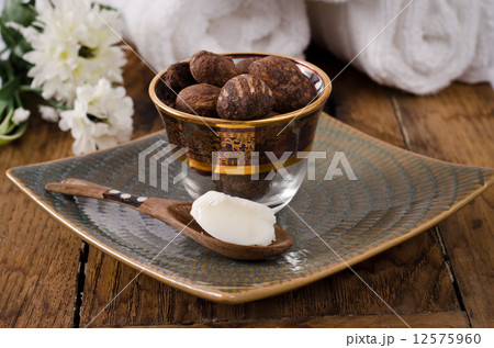 Shea nuts on a glass with wooden spoon full of shea butter Shea nuts on a glass with wooden spoon full of shea butter 12575960