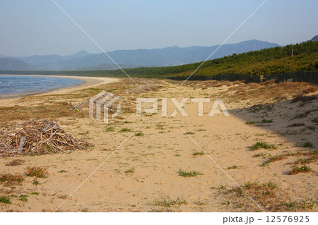 虹の松原 虹の松原 12576925