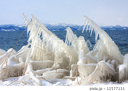 猪苗代湖のしぶき氷 猪苗代湖のしぶき氷 12577131