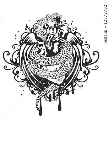 snake with patterns 12578702