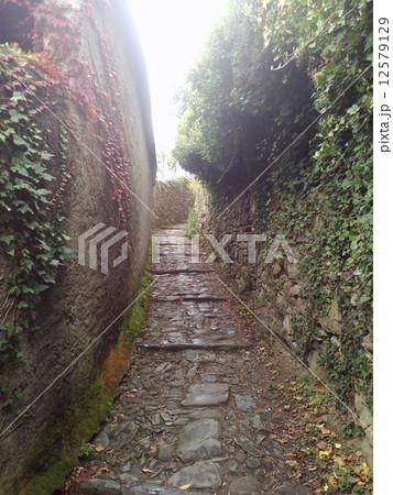 レンガ造りの壁を抜ける石畳の小道 12579129